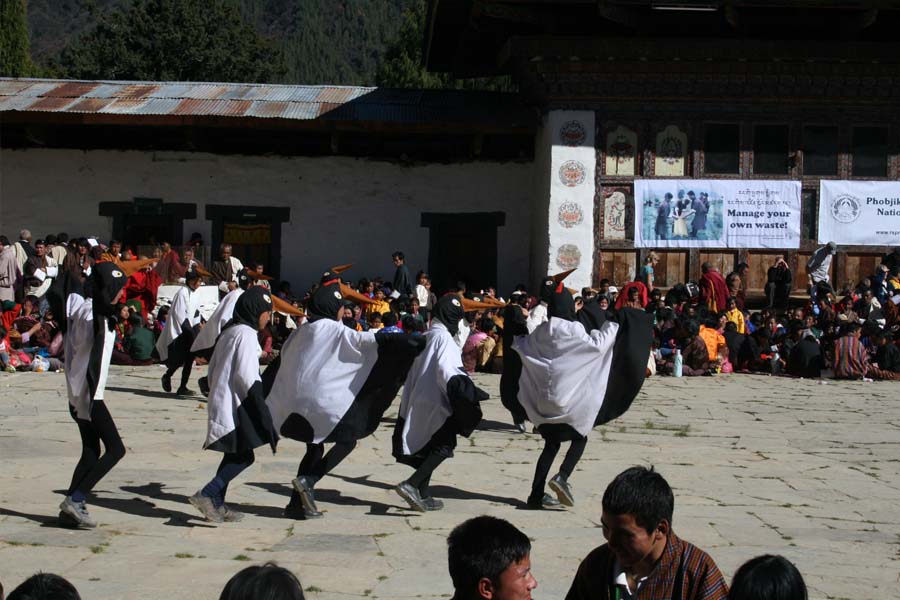 Black Necked Crane Festival